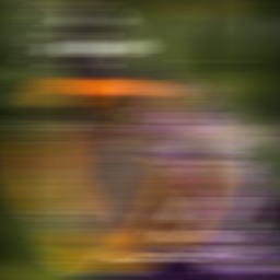 Blurred training image