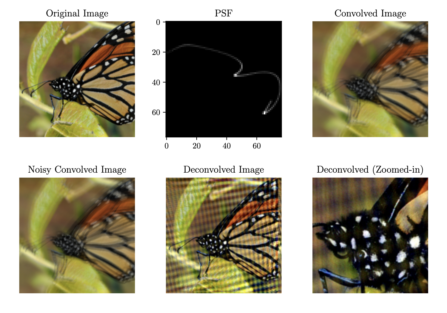 The deconvolution result
